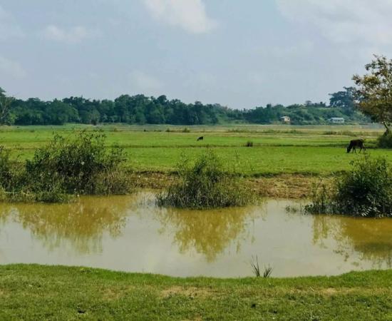 Less than 10% of Assam’s Cropped Land Irrigated Despite 12.6 Lakh Hectare Target