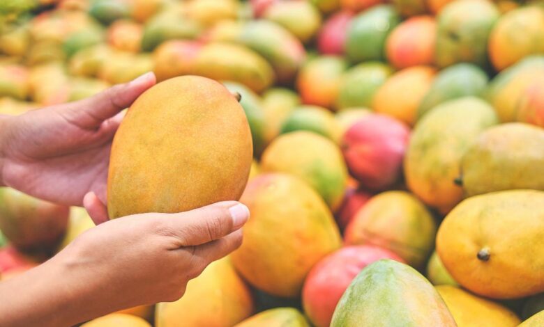 mango 