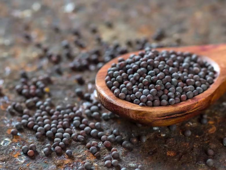 Mustard Seed
