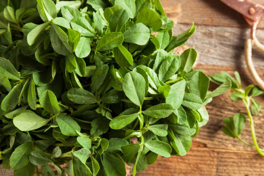 methi