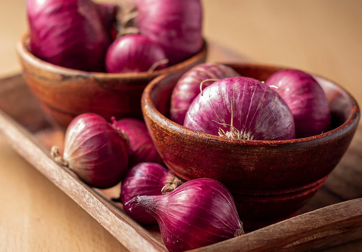 Onion