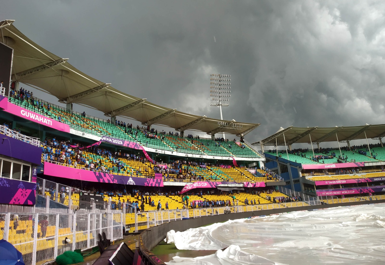 Cricket