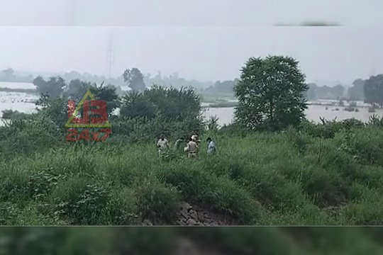 delhi