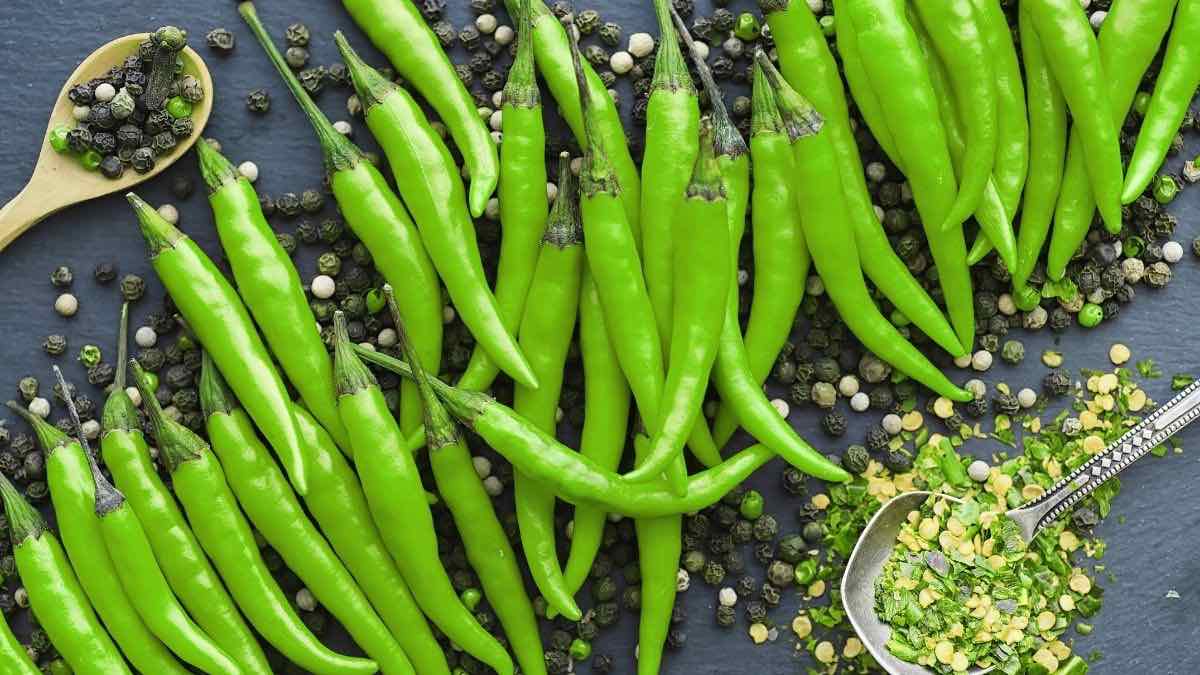 green chilli1