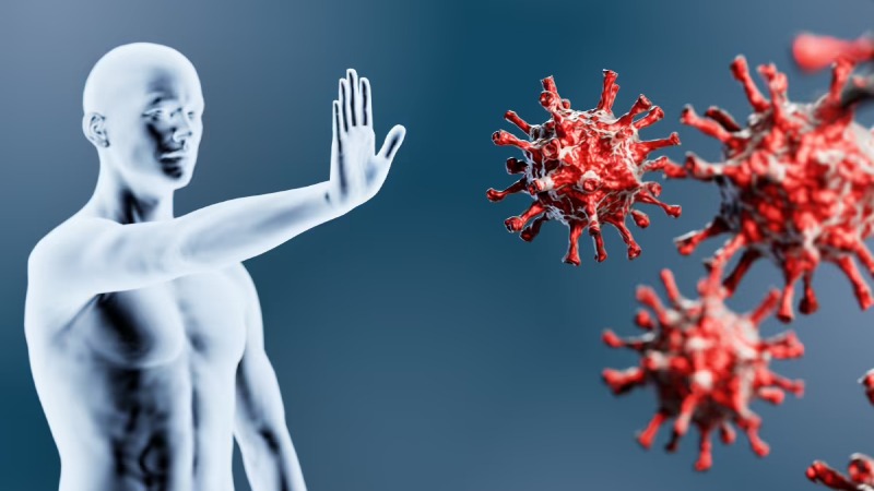 ক্যান্সার প্রতিরোধে সহায়ক