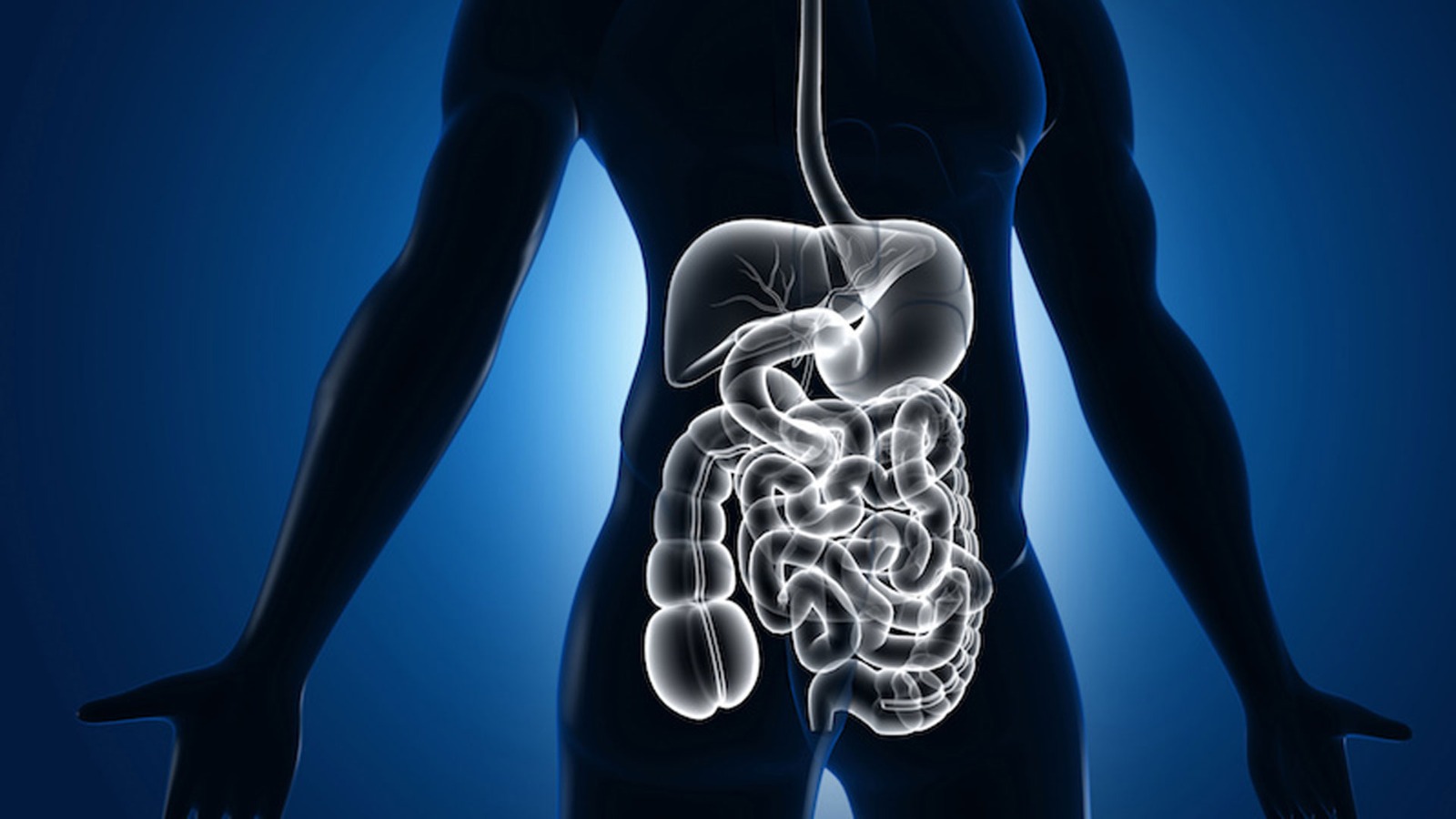 হজমশক্তি বাড়ায়