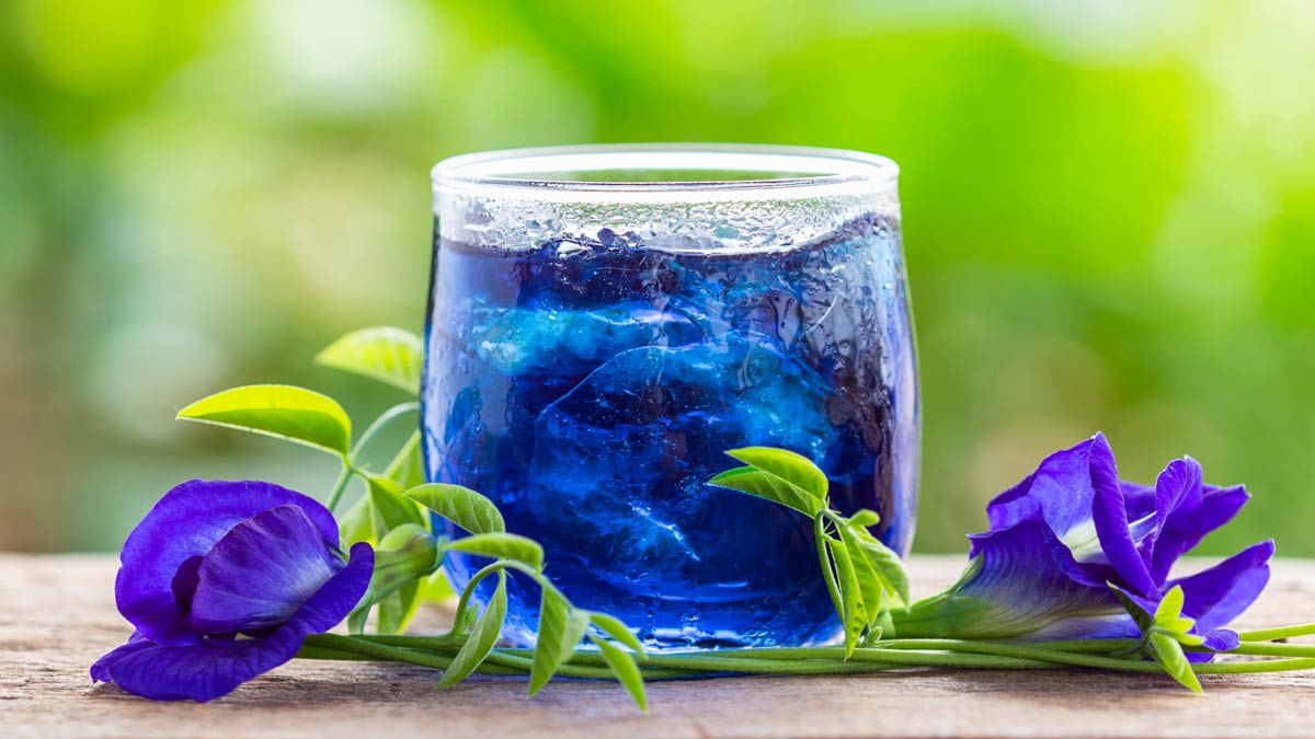 blue tea