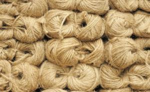 Quality Fibre Crucial for Strengthening Assam’s Jute Economy