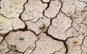 Assam records over 70% rainfall deficit since November