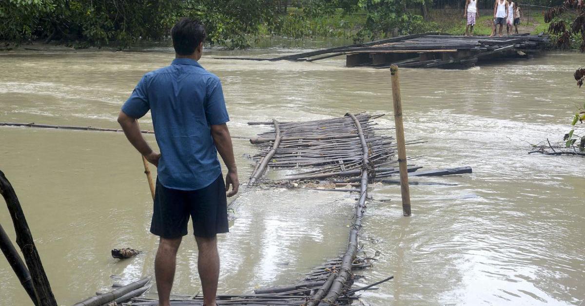 এতিয়া বানৰ সংহাৰী ৰূপ