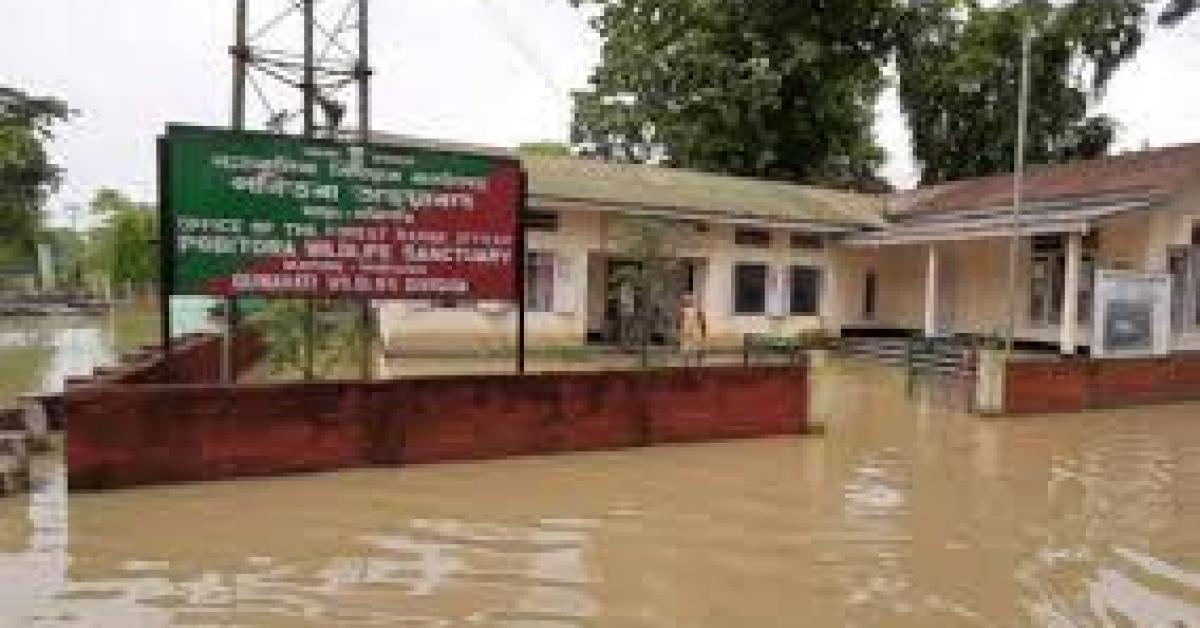 পবিতৰা অভয়াৰণ্য ৯০% বানৰ কৱলত 