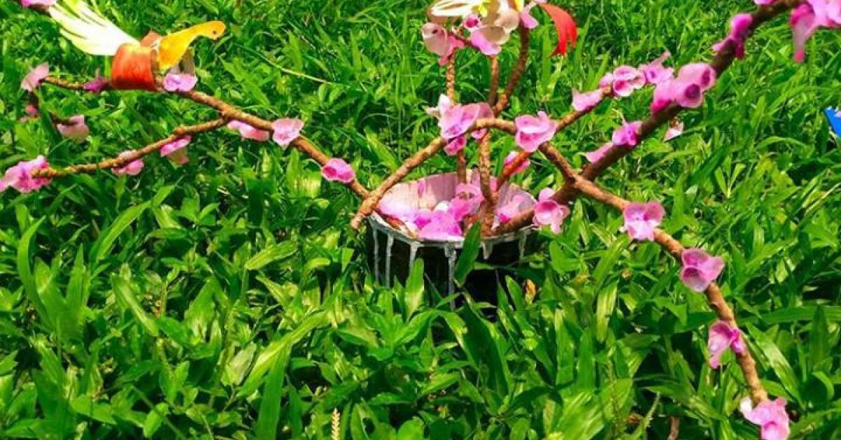 অসম বুক অফ ৰেকৰ্ডচত খোদিত নিজৰ নাম