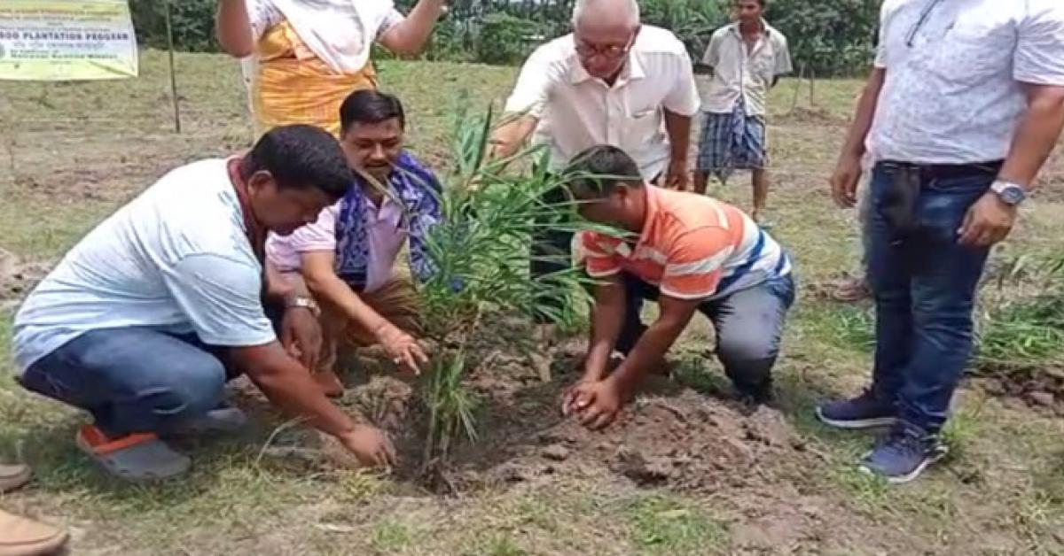 Bamboo Revolution begins in BTR Mathambil