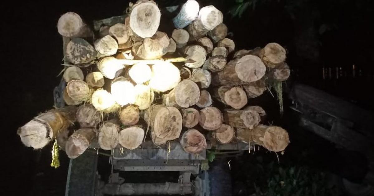 Forest department's drive against smuggling