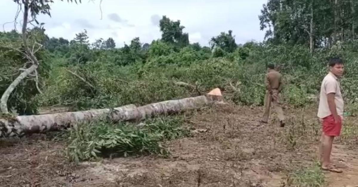 Arunachal open fire at Assamese Forest Officer