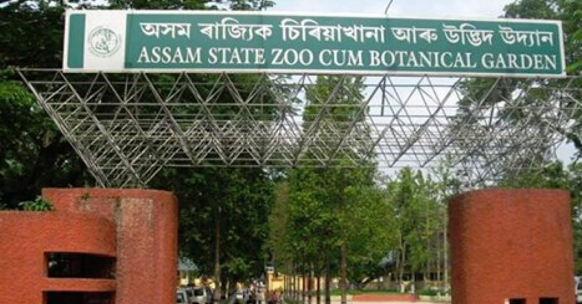 Assam State Zoo