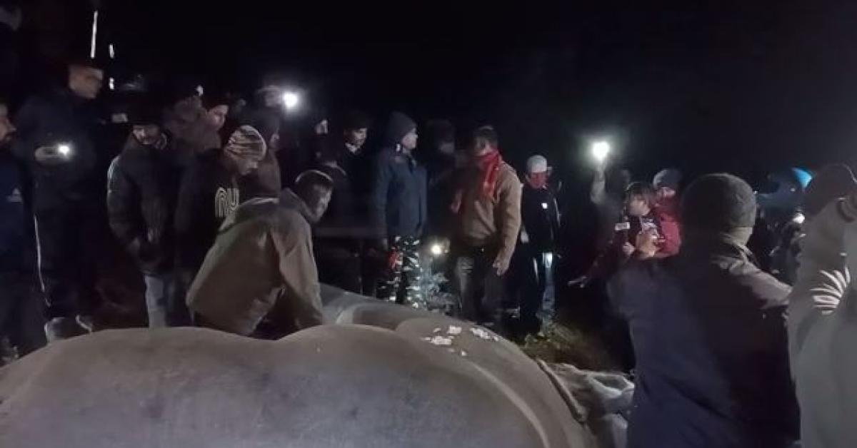 Nagaon Elephant Death
