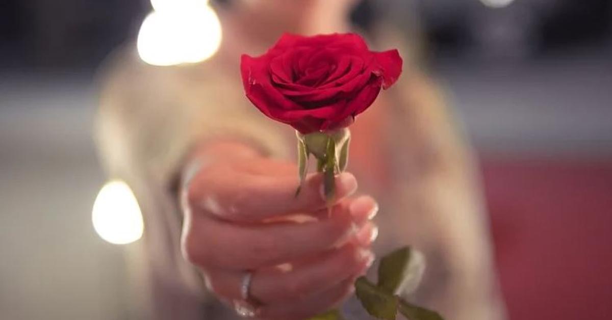 Rose Day
