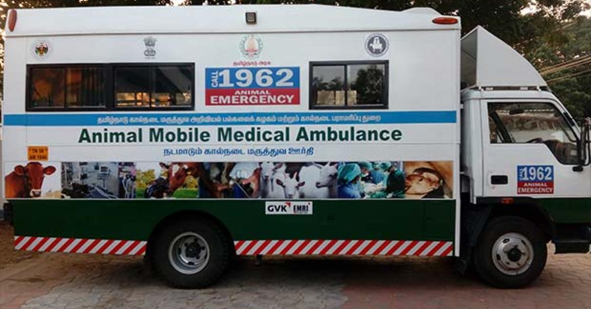 Cattle Ambulance Service
