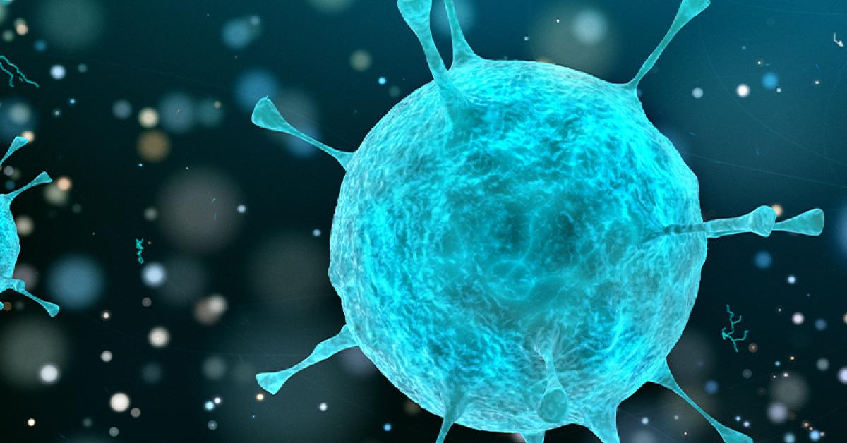 Corona Virus