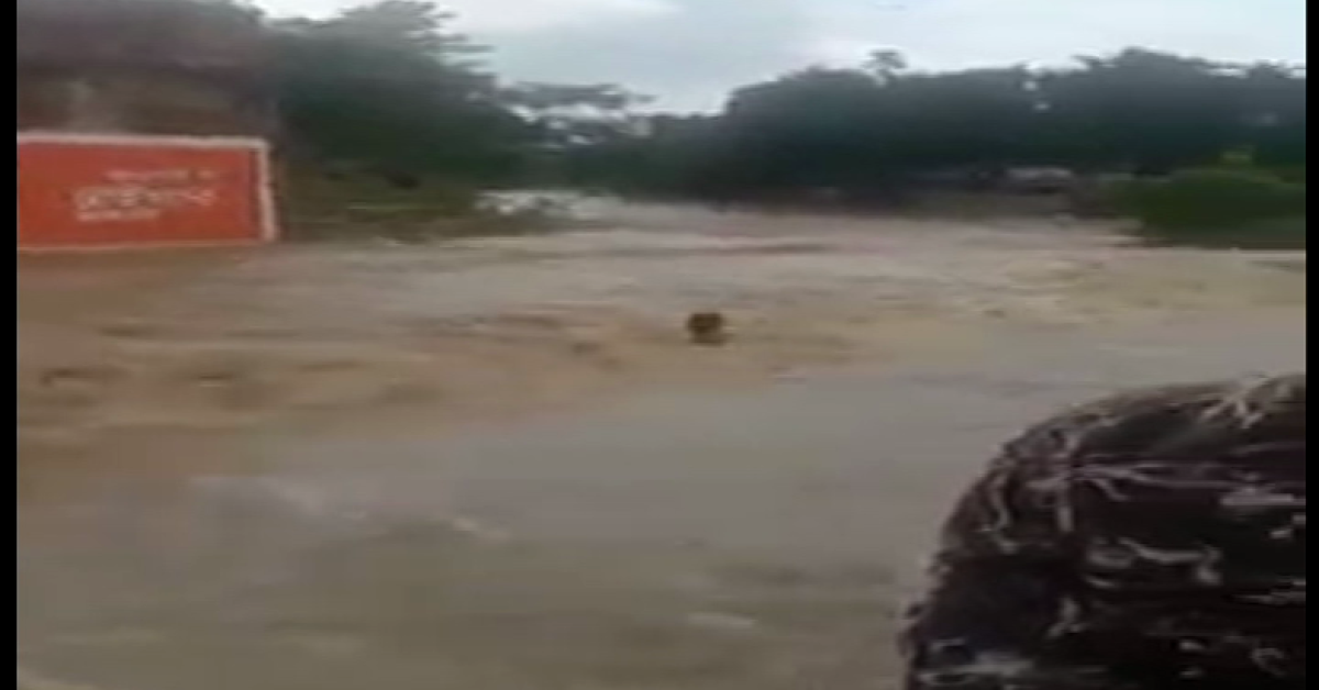 Flood