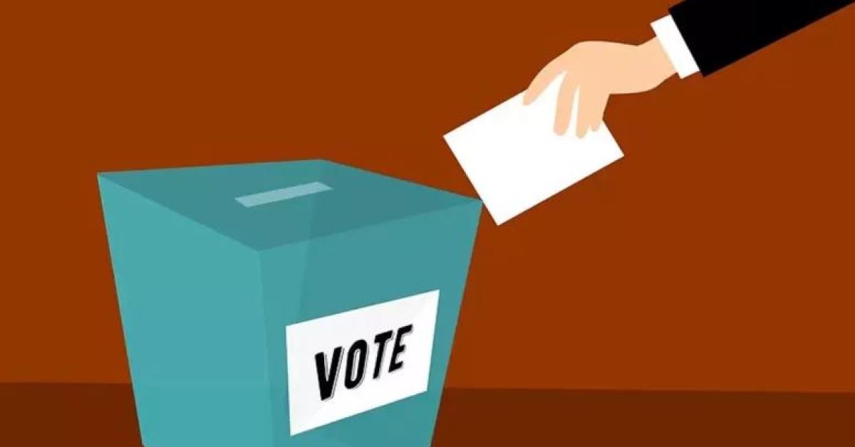 Voting