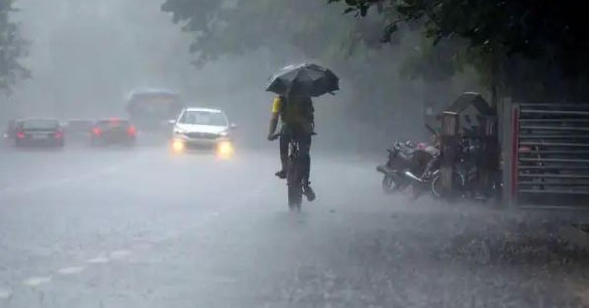 Heavy Rain