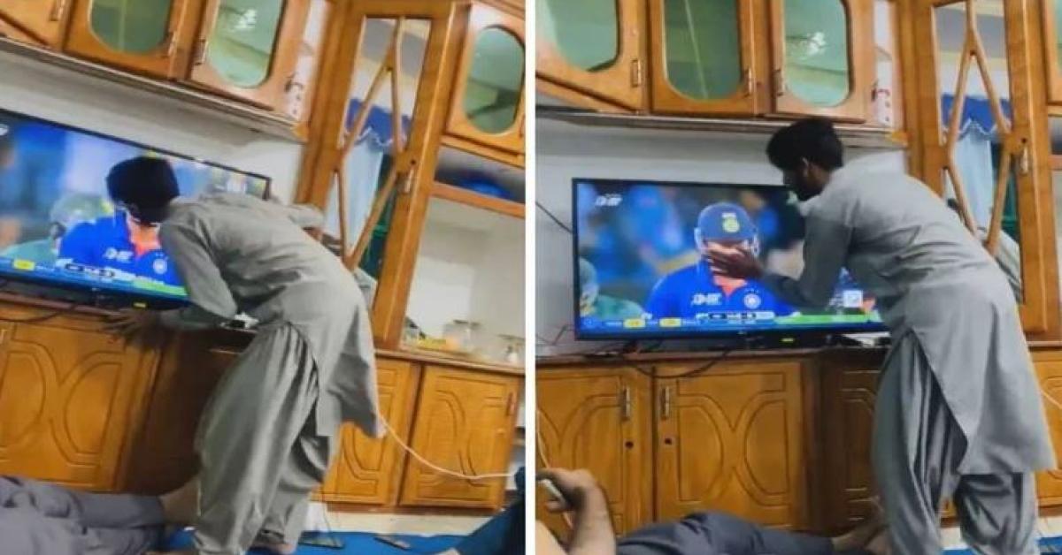 Afghani Fan 