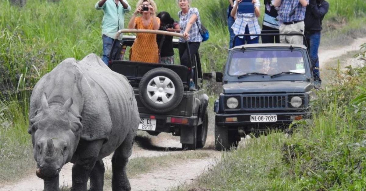 Kaziranga National Park