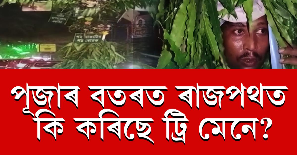 tree man in guwahati