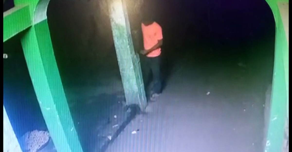 Smart Thief
