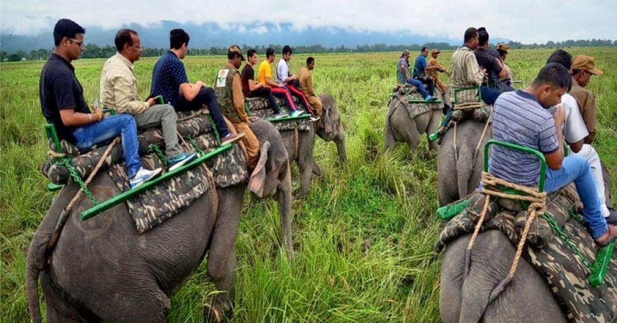 Kaziranga National Park