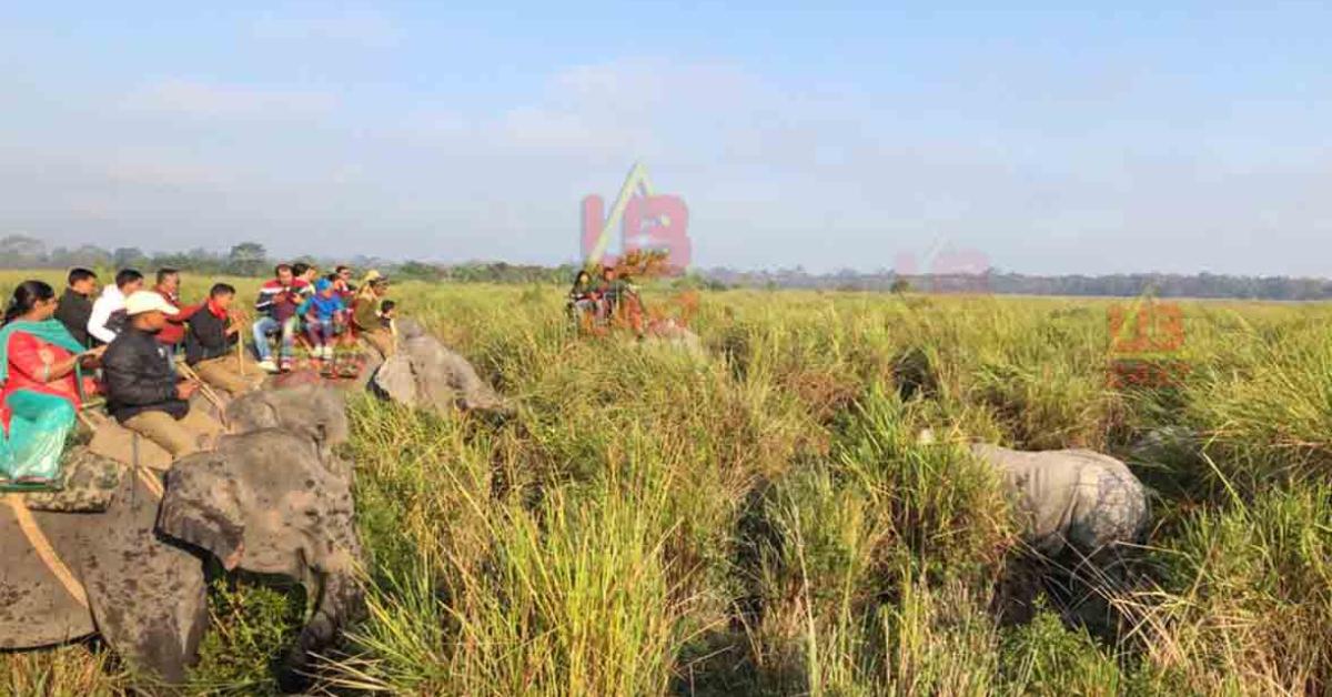 Kaziranga