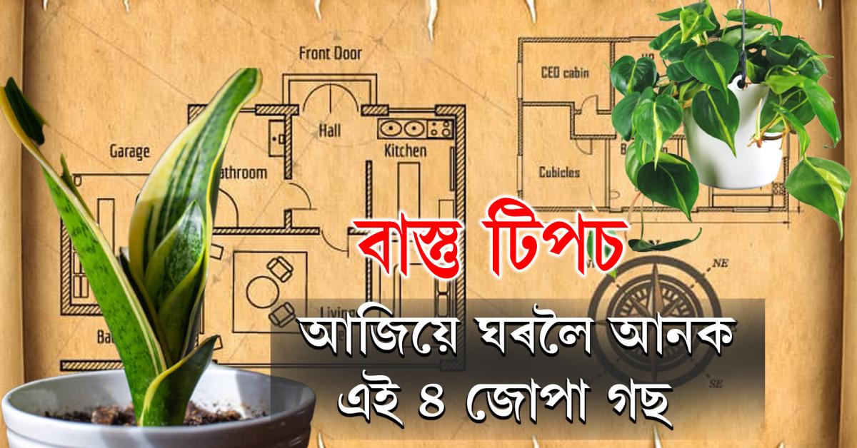 vastu tips