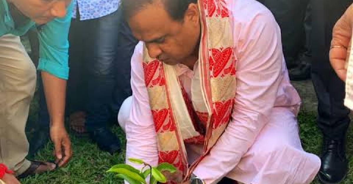 Himanta 