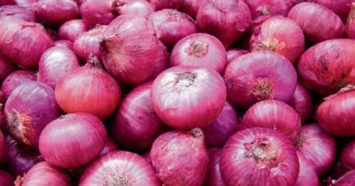 Onion