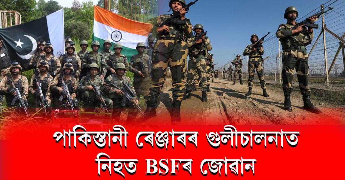 bsf