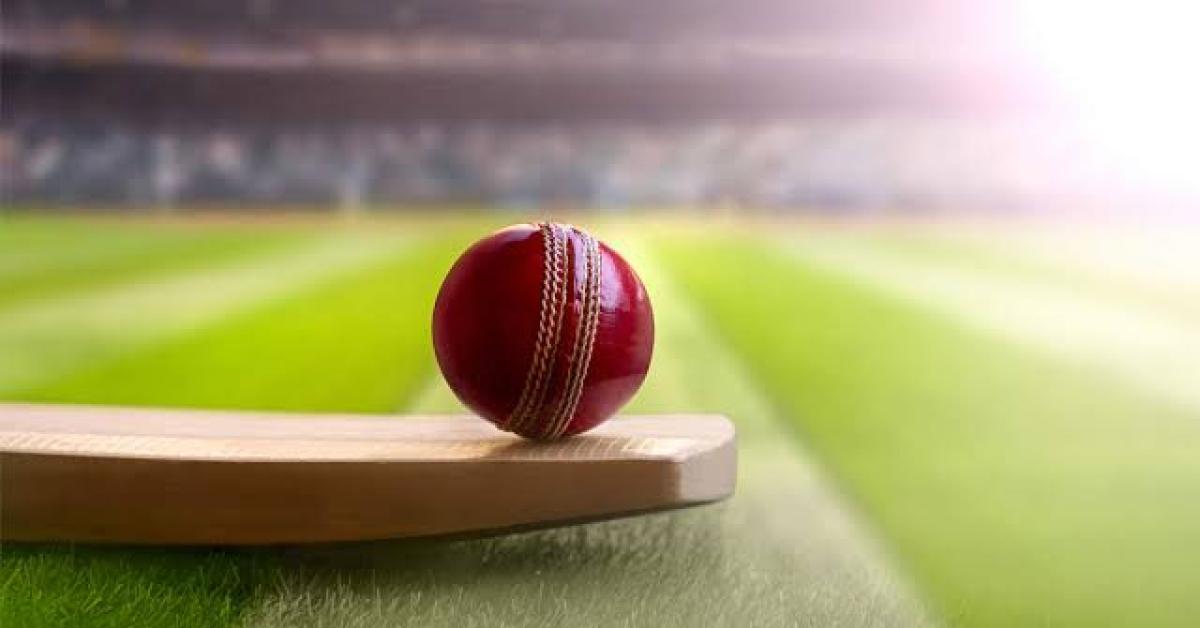 Cricket