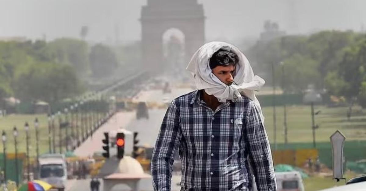 delhi