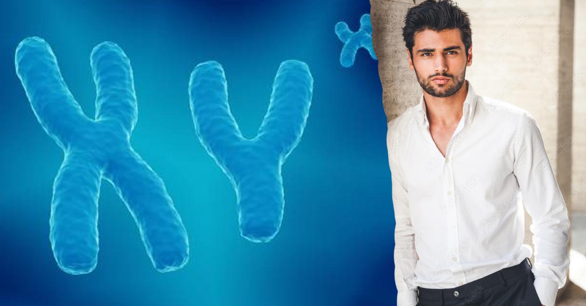 xy