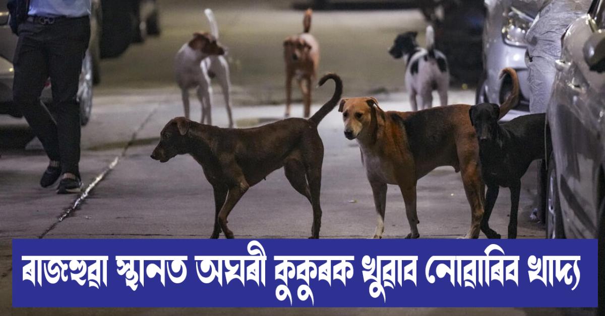 Supreme Court stays order directing Delhi to shift street dogs to shelters