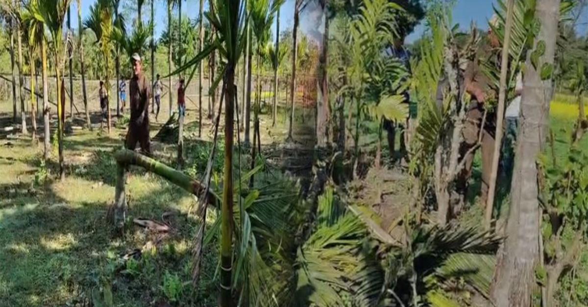 Man Elephant conflict