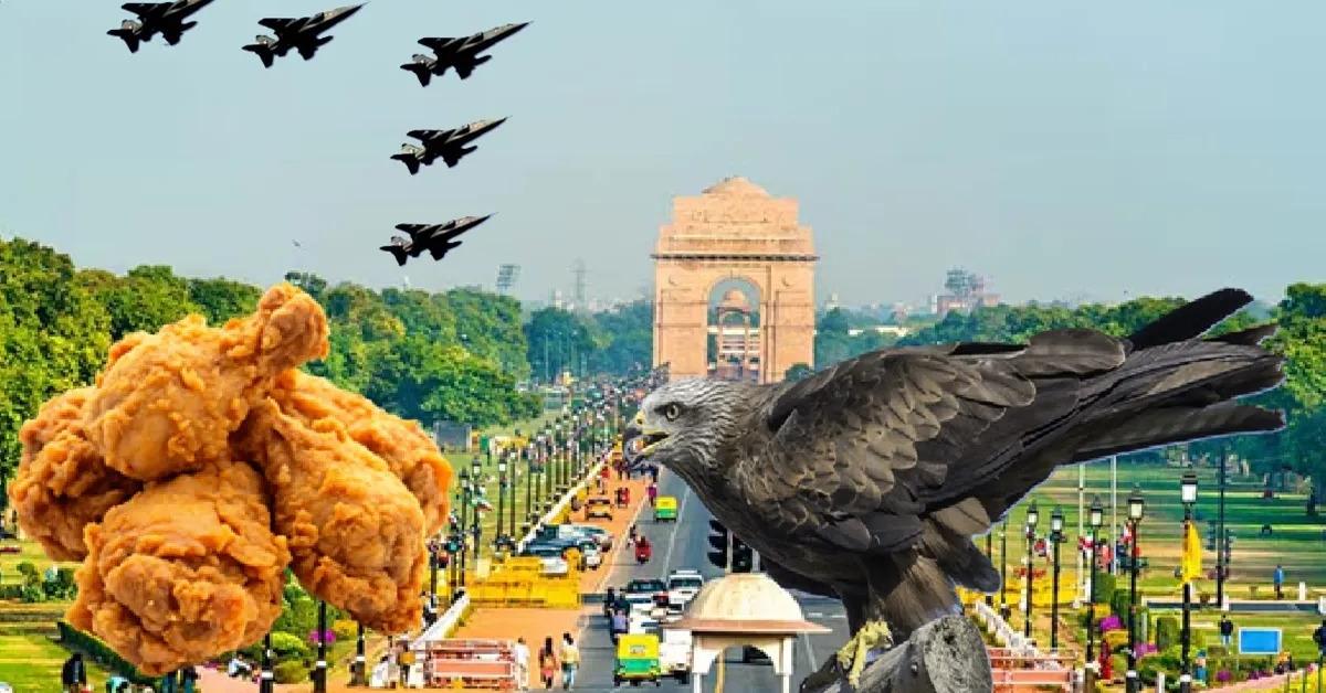 गणतंत्र दिवस एयर शो के लिए काले चीलों को दूर भगाएगा दिल्ली वन विभाग, 1,275 किलो बोनलेस चिकन का इस्तेमाल