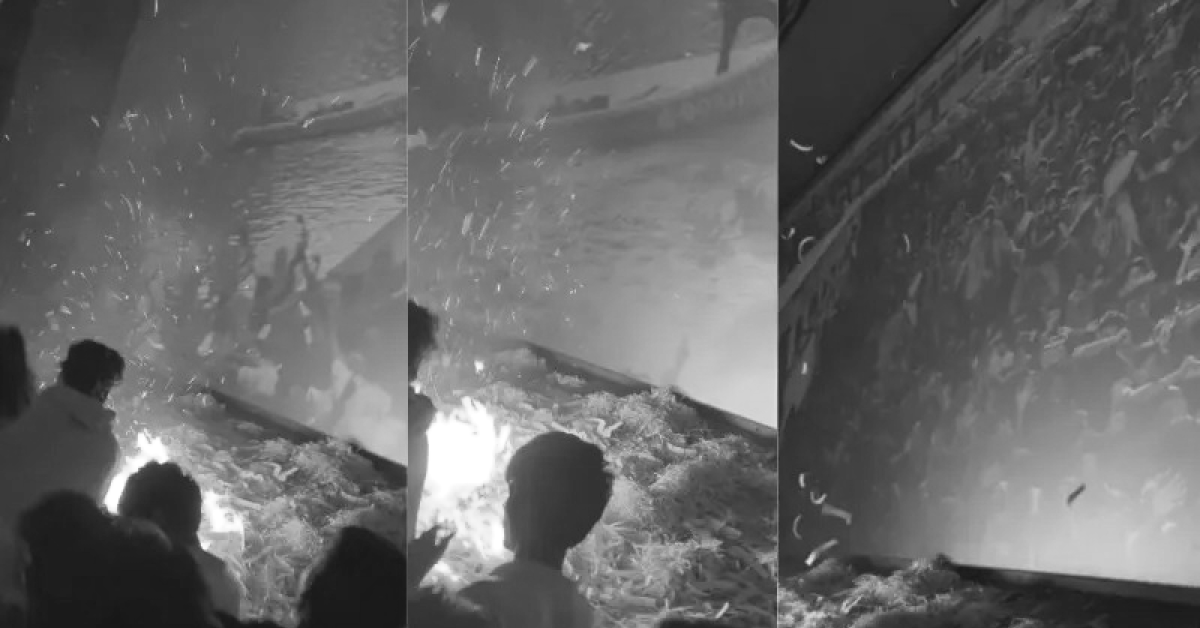 फैंस ने हाथों से आग बुझाकर बड़ा हादसा टाला