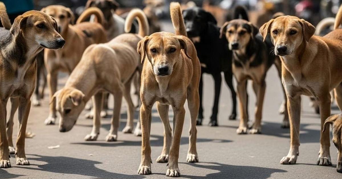 तेलंगाना में 300 कुत्तों की ह*त्या!