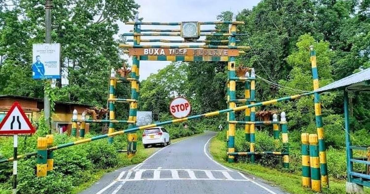 মাঘে বাঘের আতঙ্ক, বক্সা জঙ্গলে সাময়িকভাবে বন্ধ শিকারি রোড