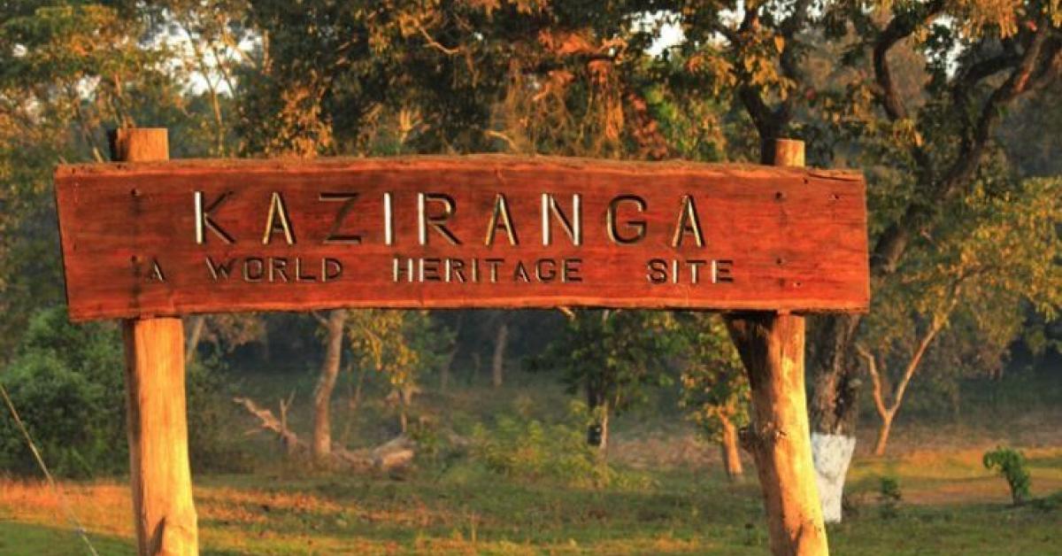 Kaziranga, Manas Emerge as Front-Runners in Assam’s Dark Sky Mission