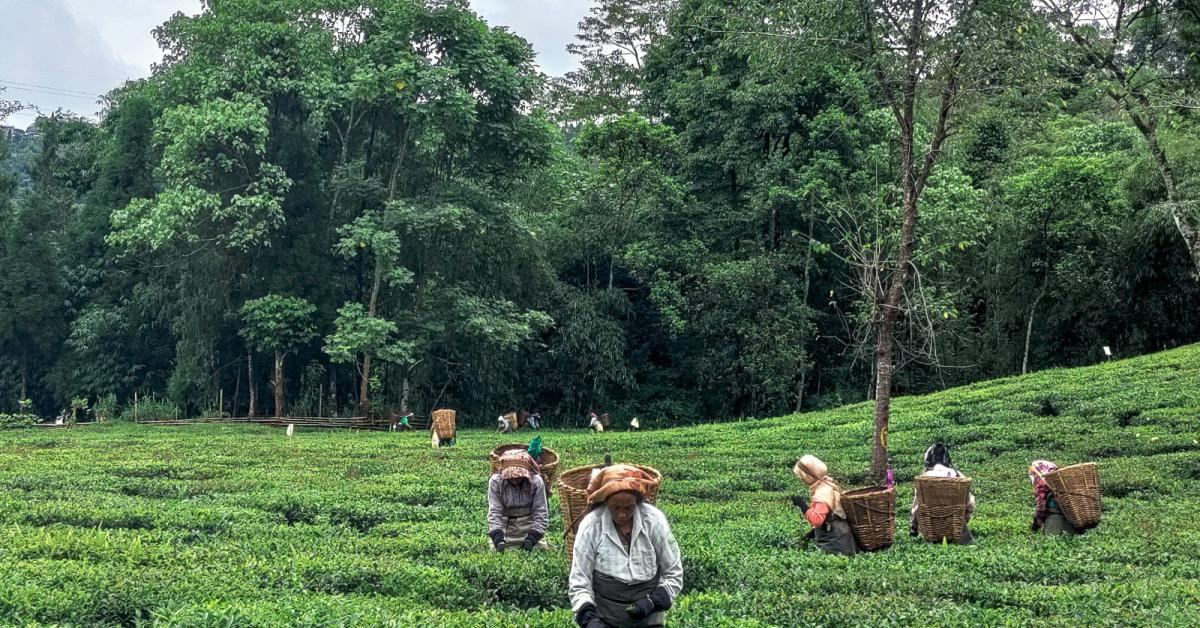 Bandhu Tirkey Slams Assam CM Over Neglect of Tea Workers