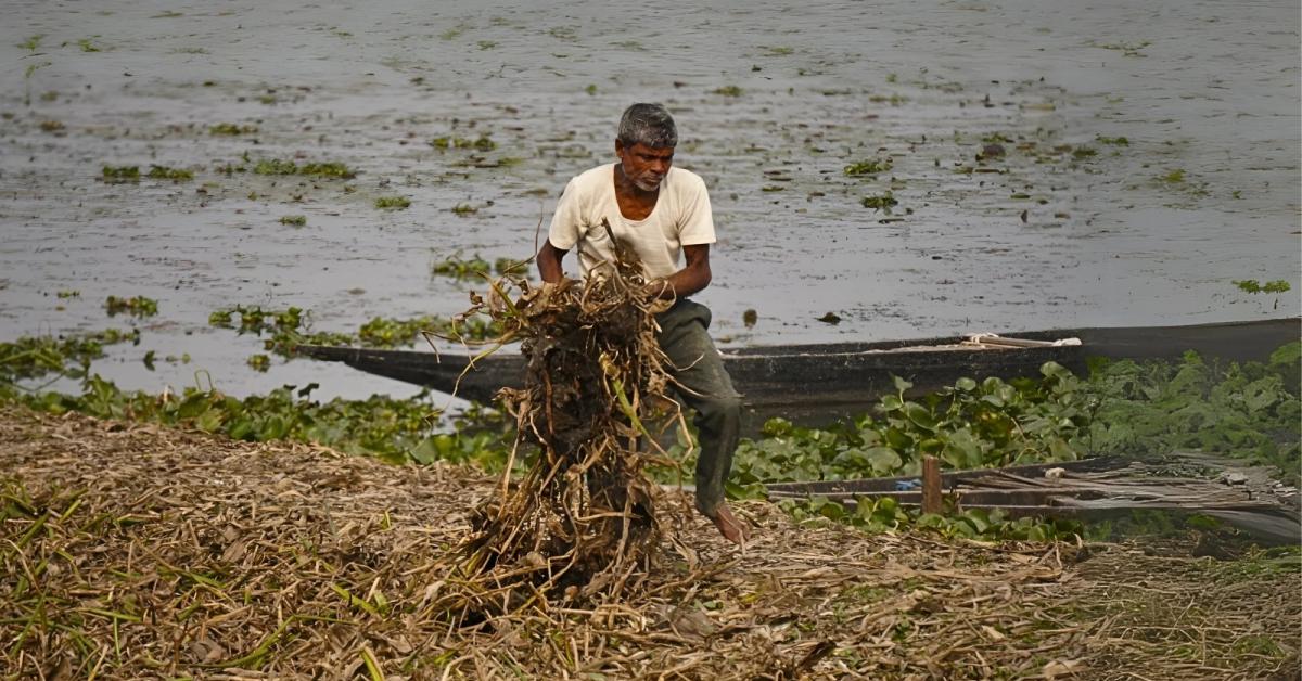 Assam initiative turns water hyacinth into eco-friendly paper to revive wetlands
