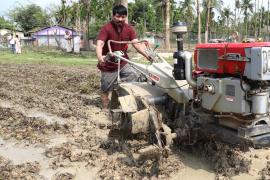অসমত ৪০ কোটি টকাৰ পাছলি নষ্ট হৈছে